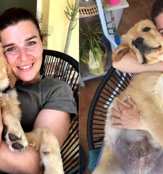 Su perro se escapó hace una semana en Ñu Porá: "No quiero que sufra"