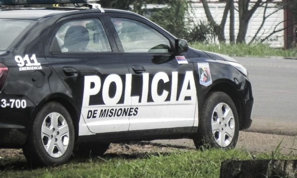 Vecino de Panambí denunció que asesinaron a piedrazos a su perro