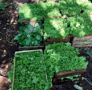 TTT: "Esta ley es histórica para la agricultura familiar presente y futura"