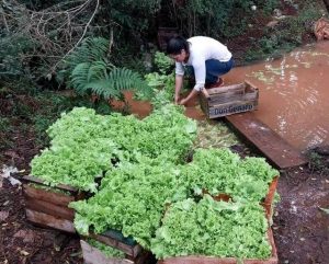 TTT: "Esta ley es histórica para la agricultura familiar presente y futura"