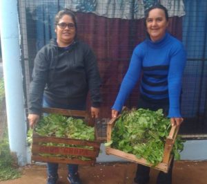 TTT: "Esta ley es histórica para la agricultura familiar presente y futura"