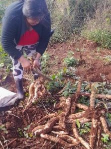 TTT: "Esta ley es histórica para la agricultura familiar presente y futura"