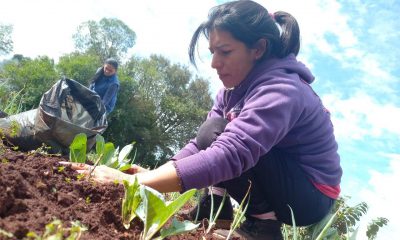 TTT: "Esta ley es histórica para la agricultura familiar presente y futura"