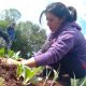 TTT: "Esta ley es histórica para la agricultura familiar presente y futura"