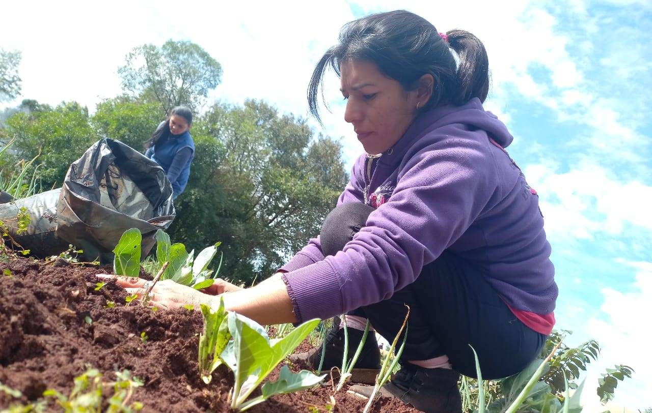 TTT: "Esta ley es histórica para la agricultura familiar presente y futura"