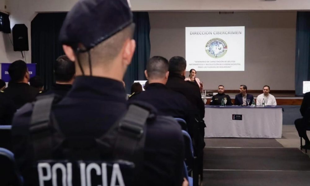 policía delitos informáticos