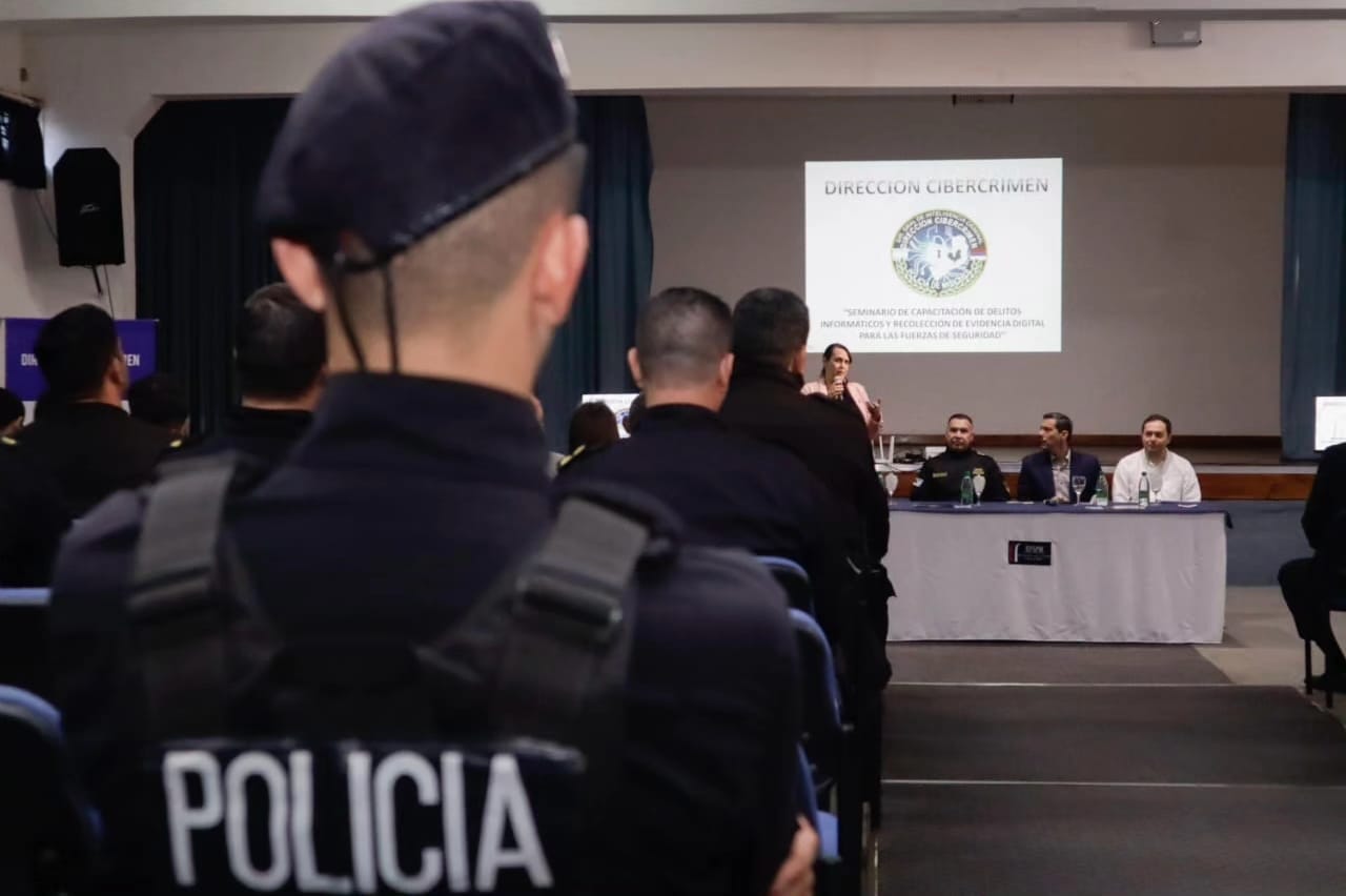 policía delitos informáticos