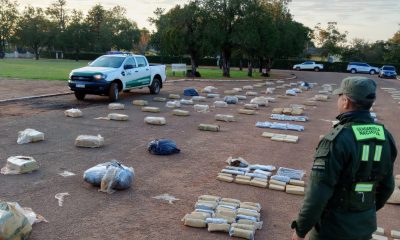 marihuana hueso vacuno triturado