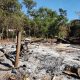 Familia mbya perdió todo en incendio y piden materiales para reconstruir su casa