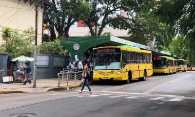 Levantan el paro de colectivos y se restablecerá el servicio