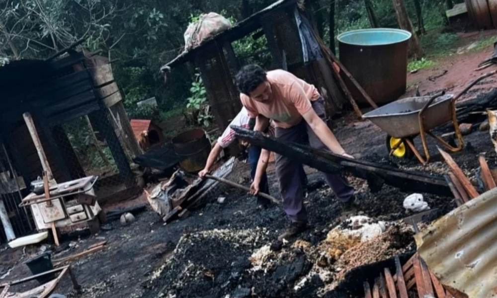 Comunidad mascotera se unió para ayudar a refugio incendiado en Campo Viera 