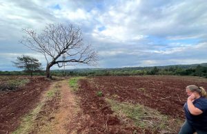 TTT y el Evita preparan predio para producir alimentos y crear trabajo en Oasis