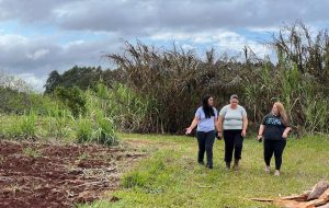 TTT y el Evita preparan predio para producir alimentos y crear trabajo en Oasis