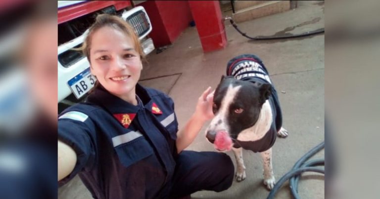 bombera trata irigoyen