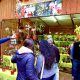 Orquideófilos harán expo en Posadas durante la Fiesta Nacional de la Orquídea