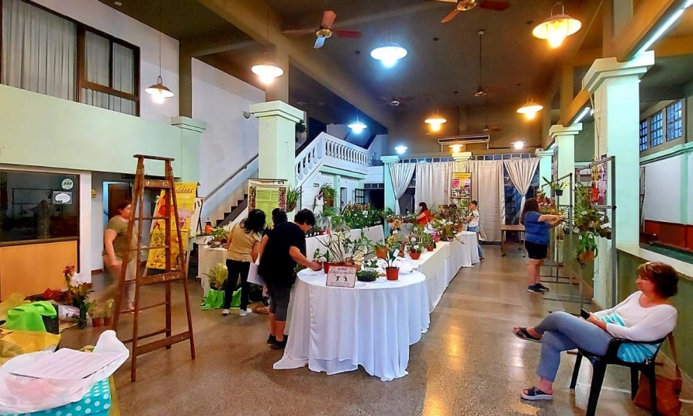 Orquideófilos posadeños: "No somos competencia para la nacional" de Montecarlo