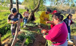 Ley de Emergencia Alimentaria: construye procesos productivos, educativos y deportivos