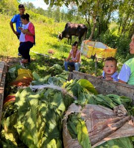 Ley de Emergencia Alimentaria: construye procesos productivos, educativos y deportivos