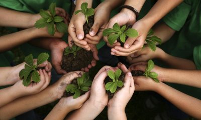 educación ambiental