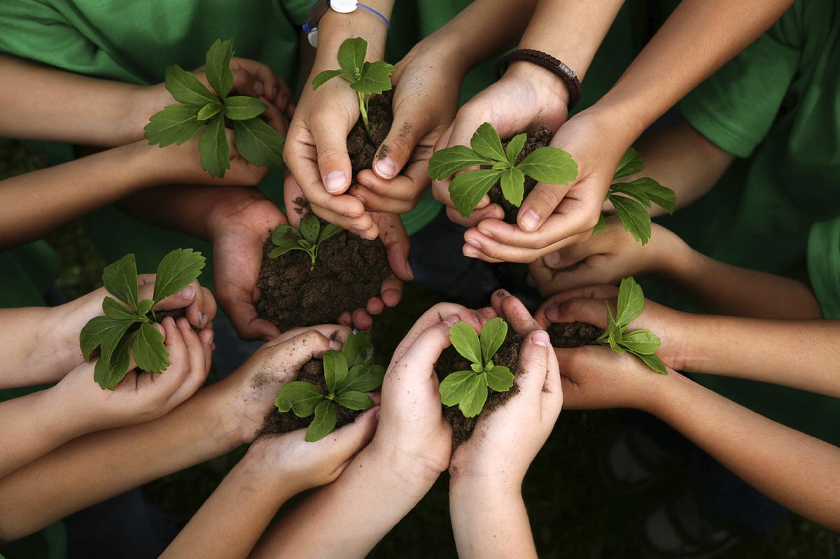 educación ambiental