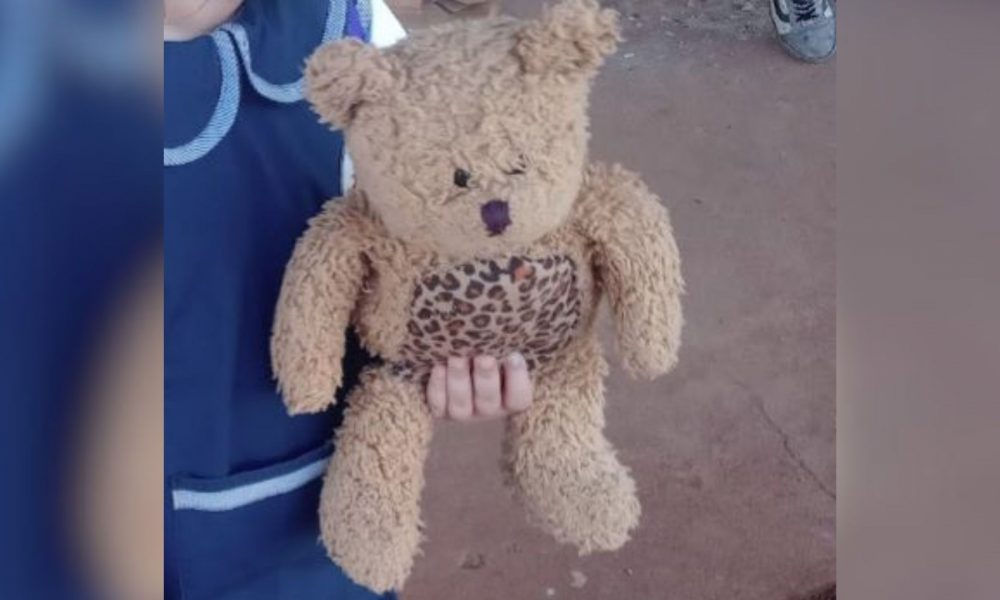 Buscan peluche de apego de niña de 5 años que se perdió en terminal Quaranta