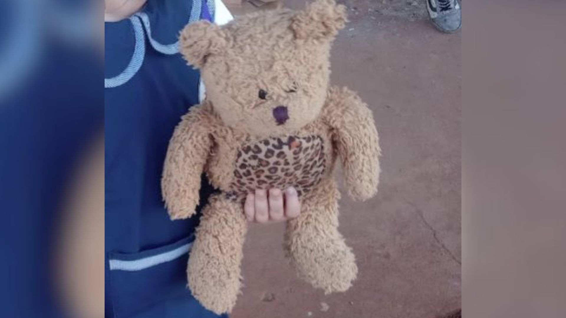 Buscan peluche de apego de niña de 5 años que se perdió en terminal Quaranta