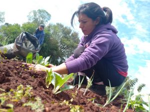 En un paso histórico para el sector, la UTEP tendrá este miércoles su primera elección nacional