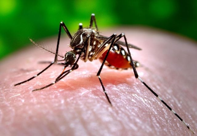 Salud Pública informó la tercera muerte por dengue en Posadas