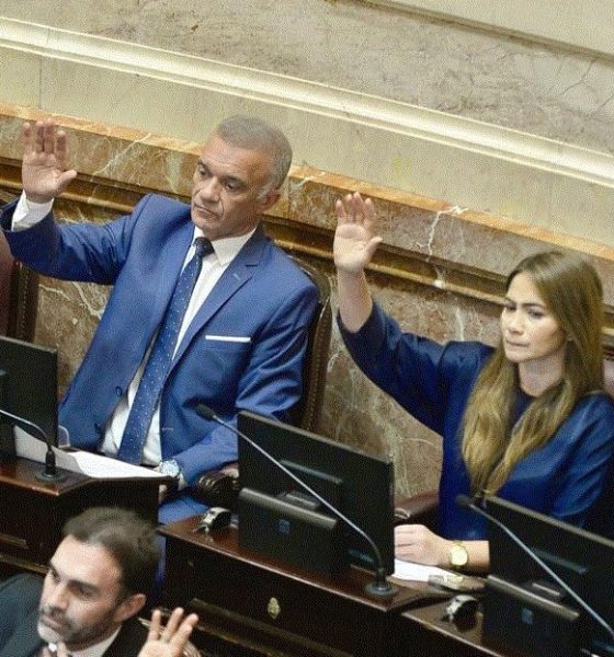 Senado