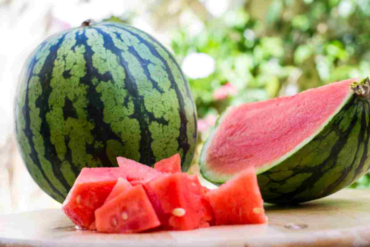 Fiesta de la Sandía: donarán recaudación a agricultores afectados por tormentas