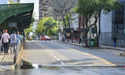 paro colectivos
