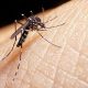 Paraguay en alerta por circulación simultánea de dengue y coronavirus