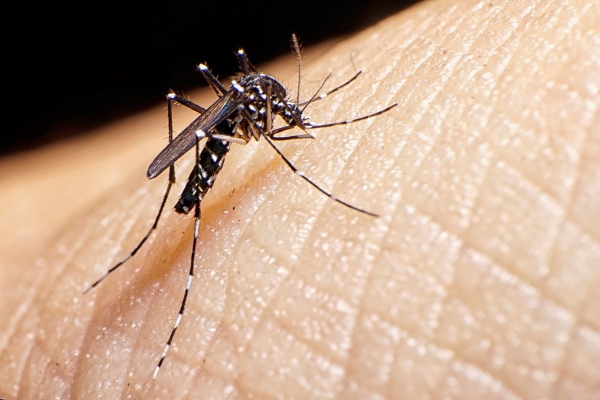 Paraguay en alerta por circulación simultánea de dengue y coronavirus