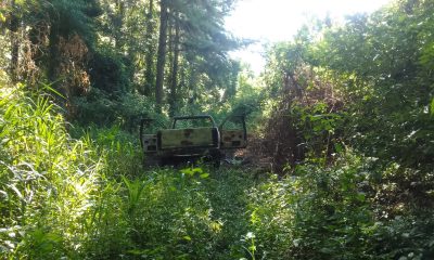 Hallan huesos dentro de camioneta calcinada en zona de búsqueda de Ariel Peña