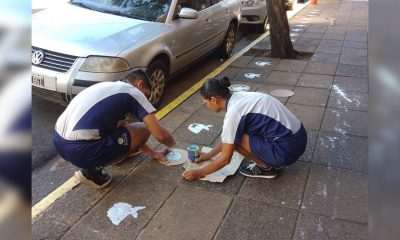 pañuelos blancos