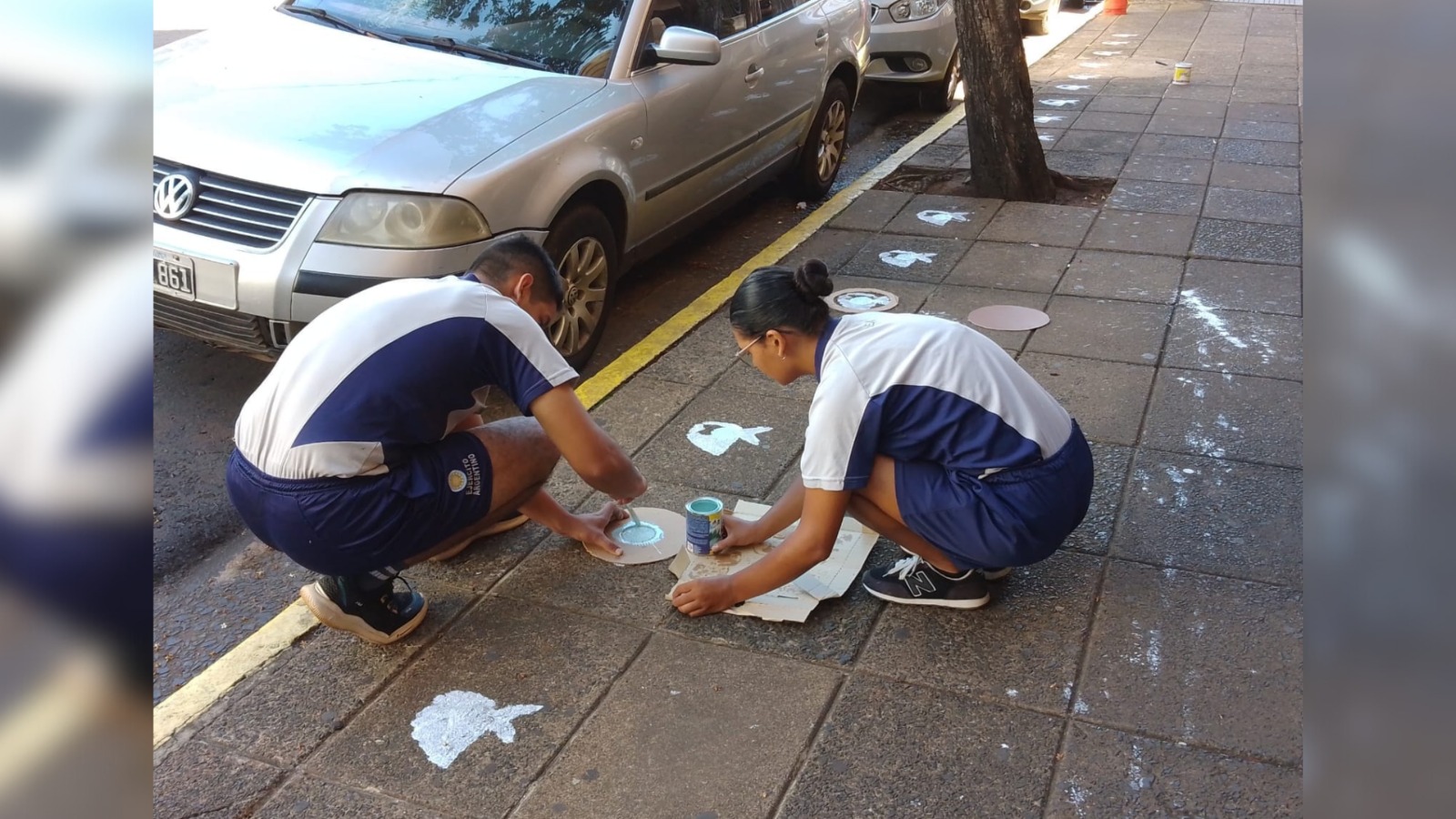 pañuelos blancos