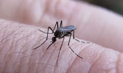 Una mujer de 33 años falleció por dengue en el Samic de Eldorado