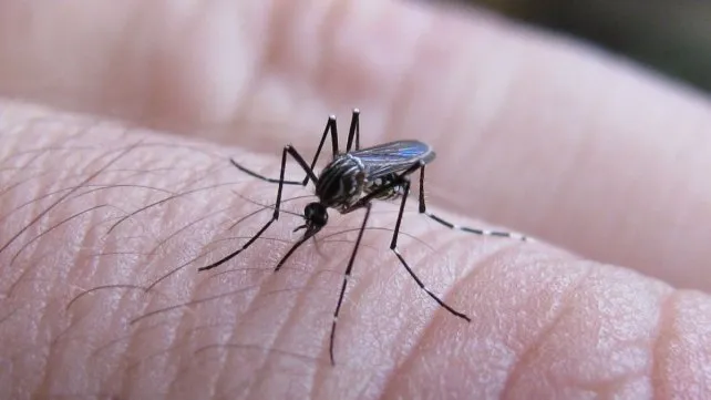 Una mujer de 33 años falleció por dengue en el Samic de Eldorado