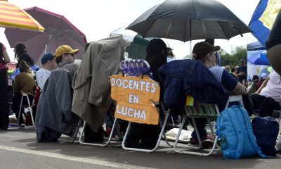 docentes