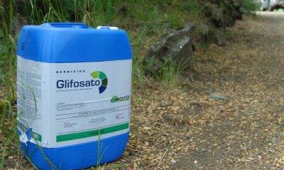 Productores se unen en Dos de Mayo para defender el uso de glifosato