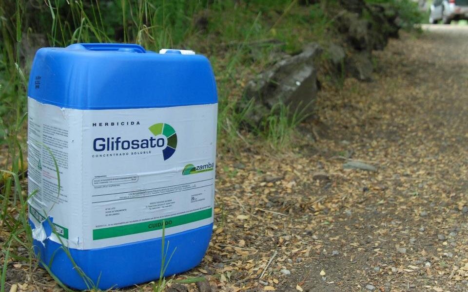 Productores se unen en Dos de Mayo para defender el uso de glifosato