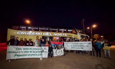 Productores misioneros viajan para un “yerbatazo” en el Obelisco