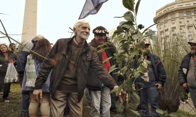 Productores hicieron mateada y plantaron un árbol de yerba en el Obelisco