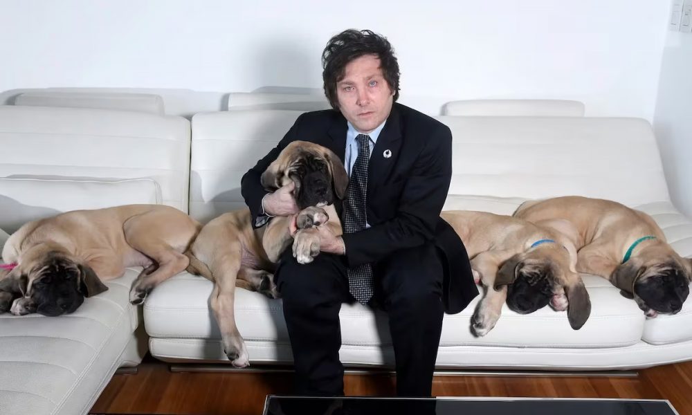 perros