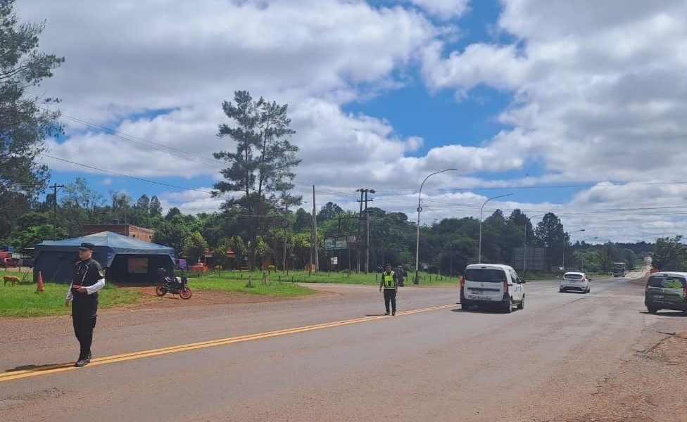 Buscan en toda la provincia al automovilista que chocó y mató a un puma