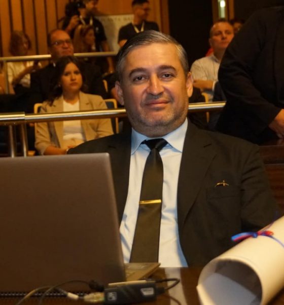 diputado