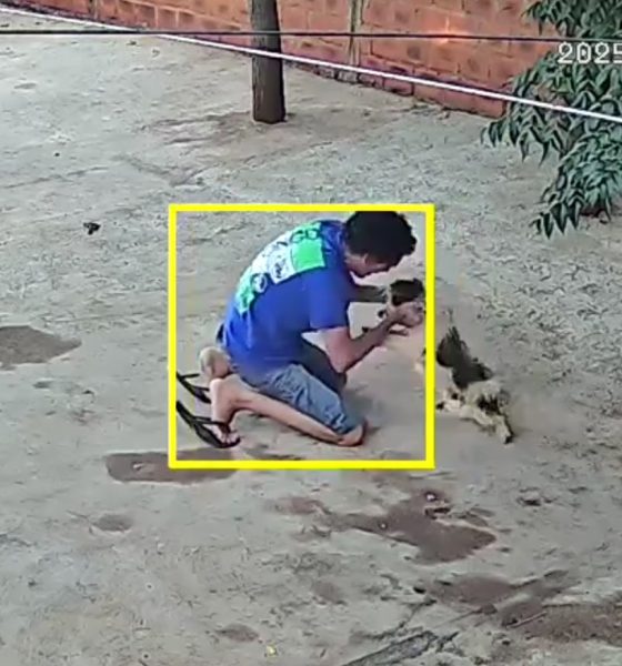 La Voz Animal