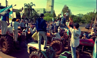 El libre mercado y una nueva crisis yerbatera a casi 23 años del tractorazo