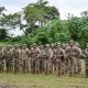 militares