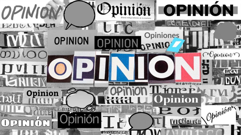 Opinion Senado